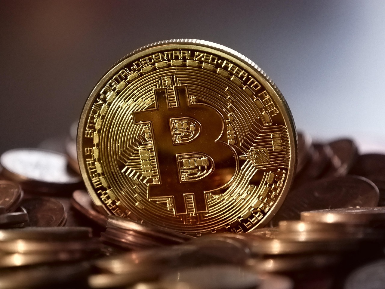黄金再飙新高！数据：比特币通常在100~150天内跟进拉涨