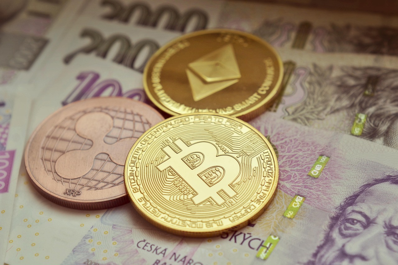 Meanwhile比特币寿险获4000万美元融资！Framework Ventures与Fulgur Ventures共同领投
